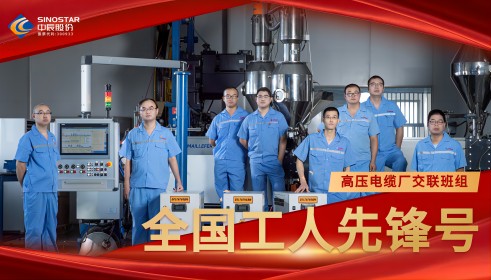 致敬!丨五彩堂股份交联班组荣膺“全国工人先锋号”