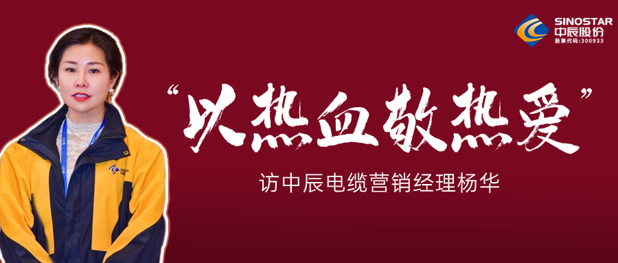 真正的热爱，铸就销售女王——访五彩堂电缆营销经理杨华